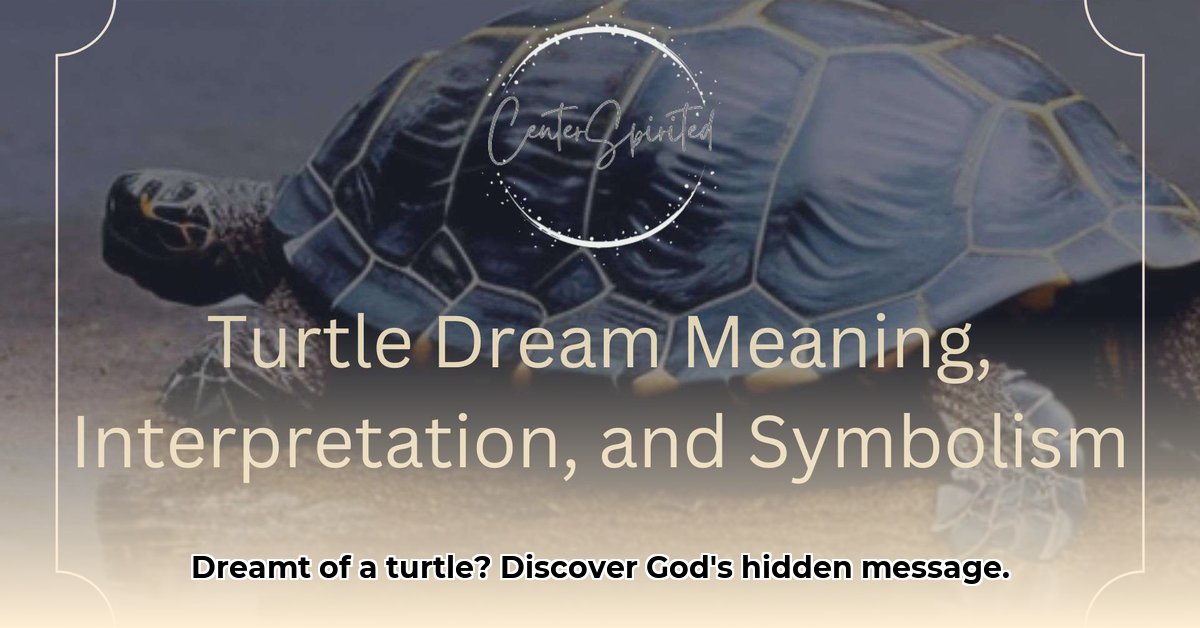 biblical-meaning-of-a-turtle-in-a-dream